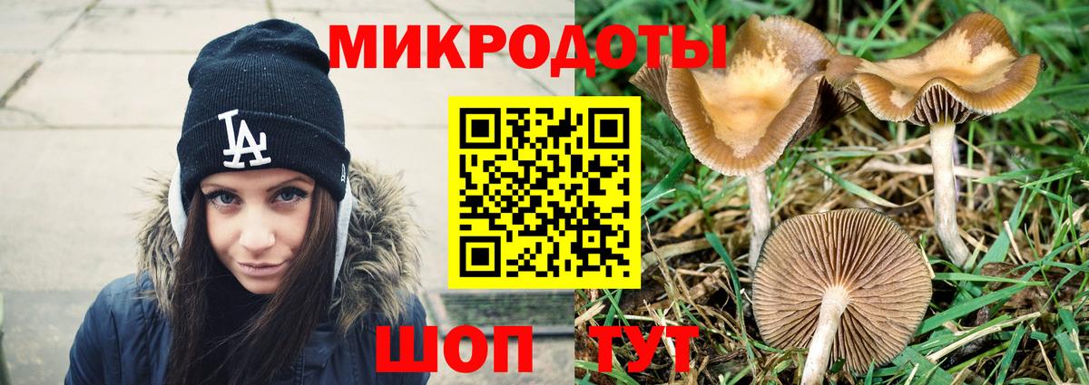 Кириши  Псилоцибиновые грибы Psilocybine cubensis  Вход с VPN  что такое   Галлюциногенные грибы Psilocybine cubensis 